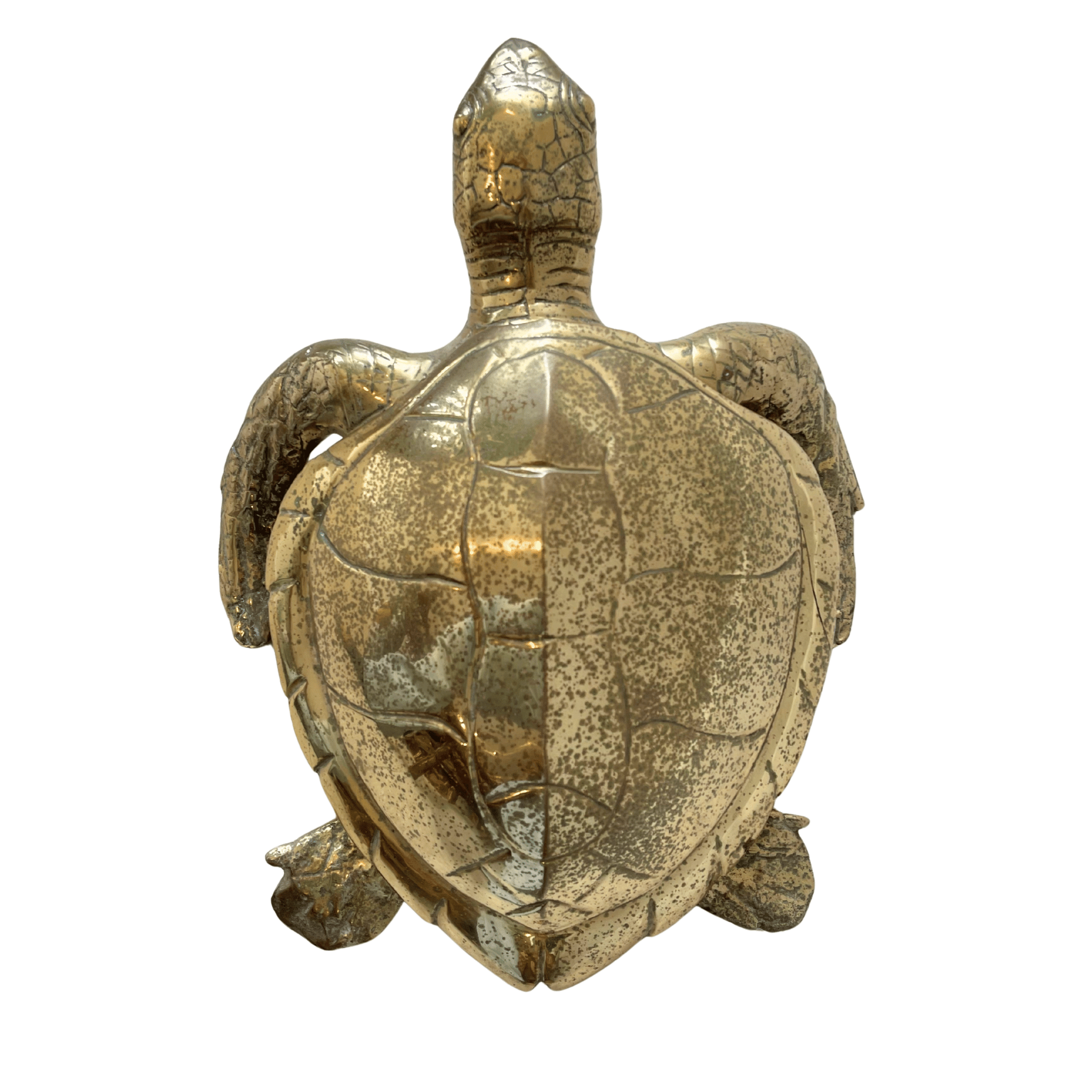 Sea Turtle Lidded Box Vintage Cast Brass