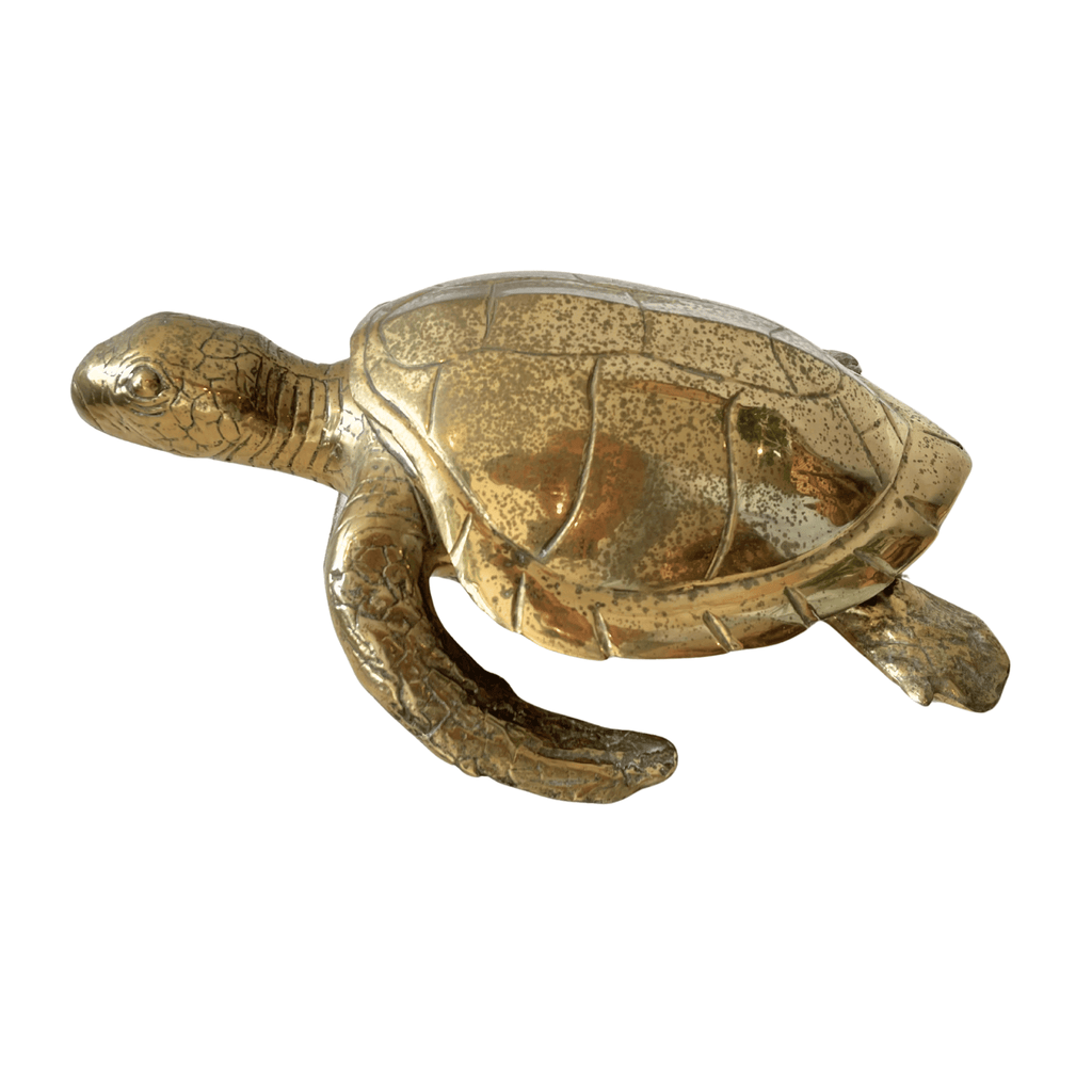 Sea Turtle Lidded Box Vintage Cast Brass