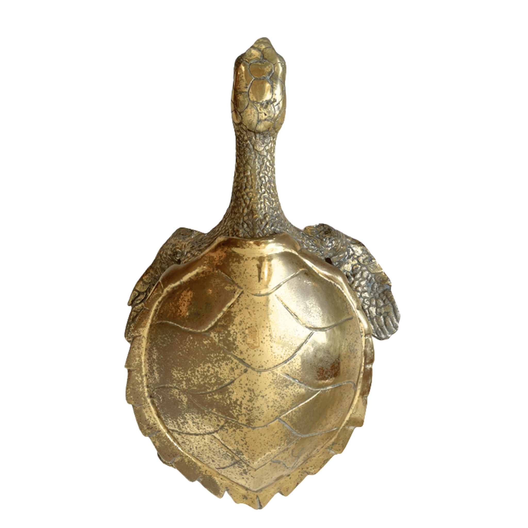 Sea Turtle Lidded Box Vintage Cast Brass XL