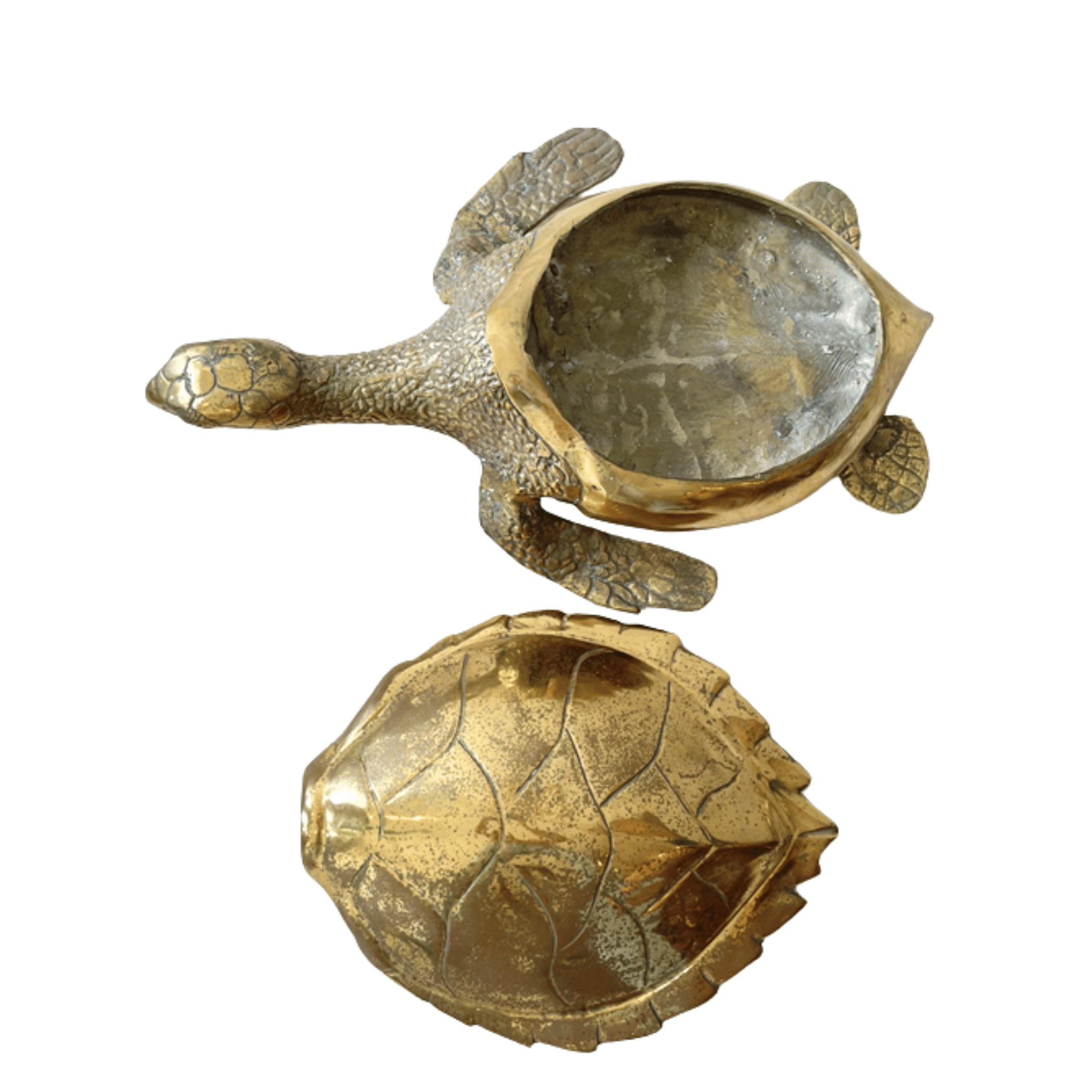 Sea Turtle Lidded Box Vintage Cast Brass XL
